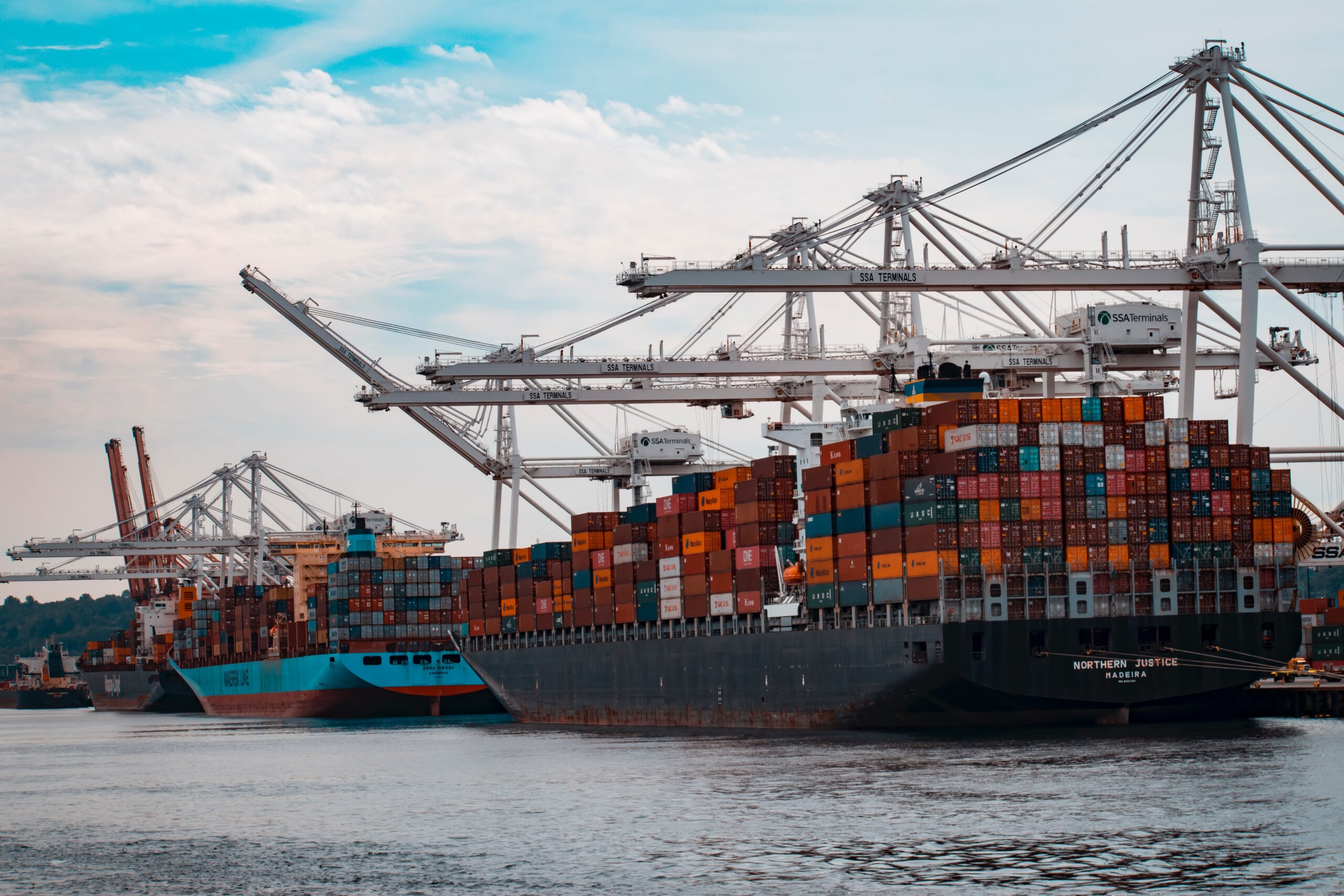 MANDATORY EXPORT STANDARDS: Just How Important Are They?